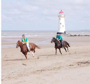 Bring own horse, North Wales